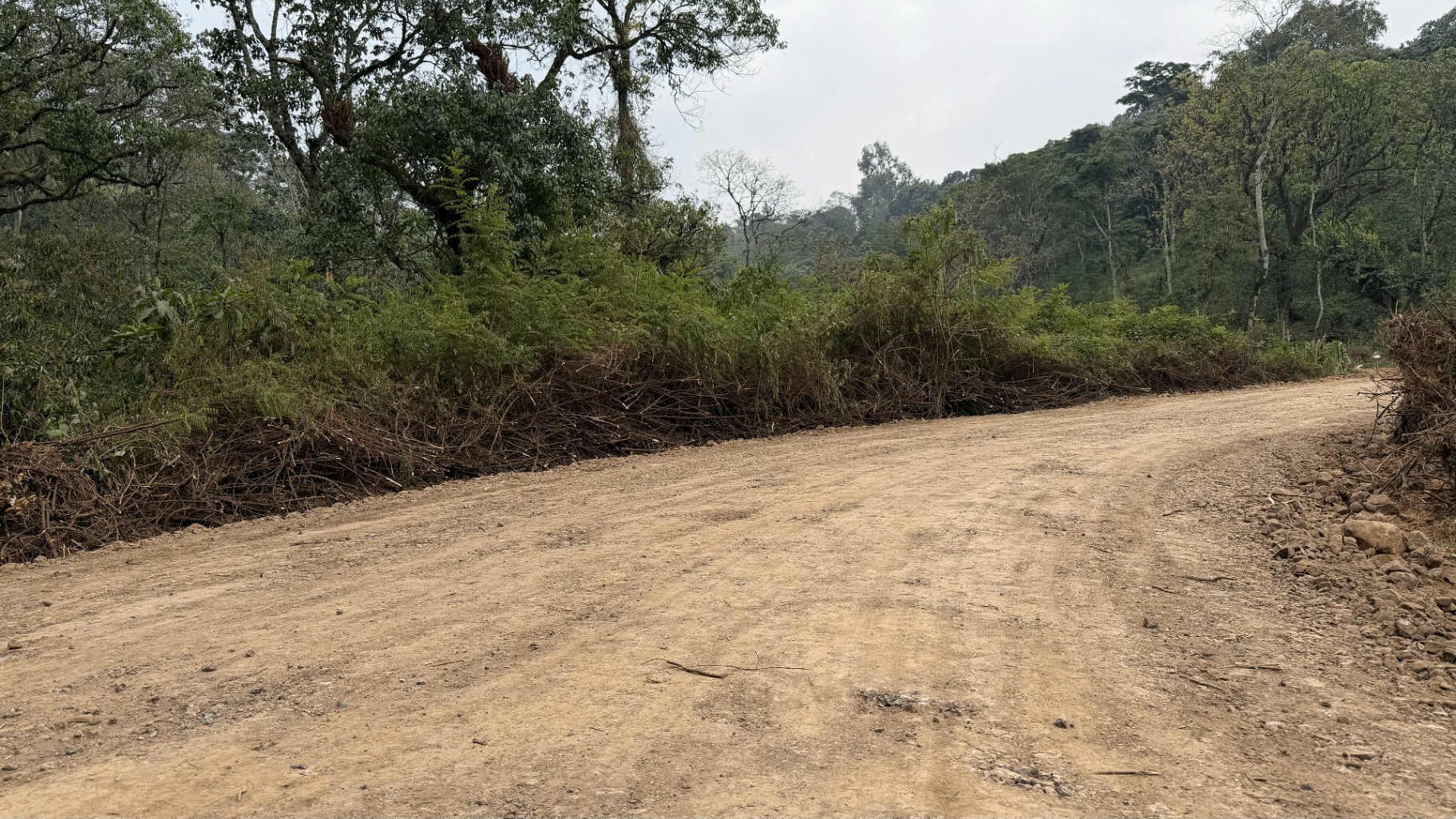 Limmu Shaye – A/Afata Road Maintenance